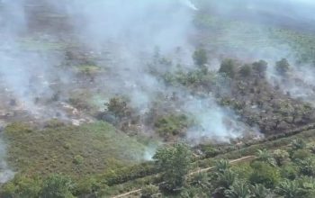 BMKG Trunojoyo: Asap Karhutla Kalimantan Kecil Kemungkinan Sampai Sumenep