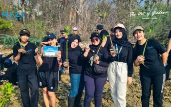 MYZE Hotel Sumenep Tanam Mangrove di Pesisir Saronggi, Cegah Abrasi dan Jaga Ekosistem Laut